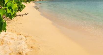 Escape in the heart of the city T2 Jacuzzis Sauna and swimming pool