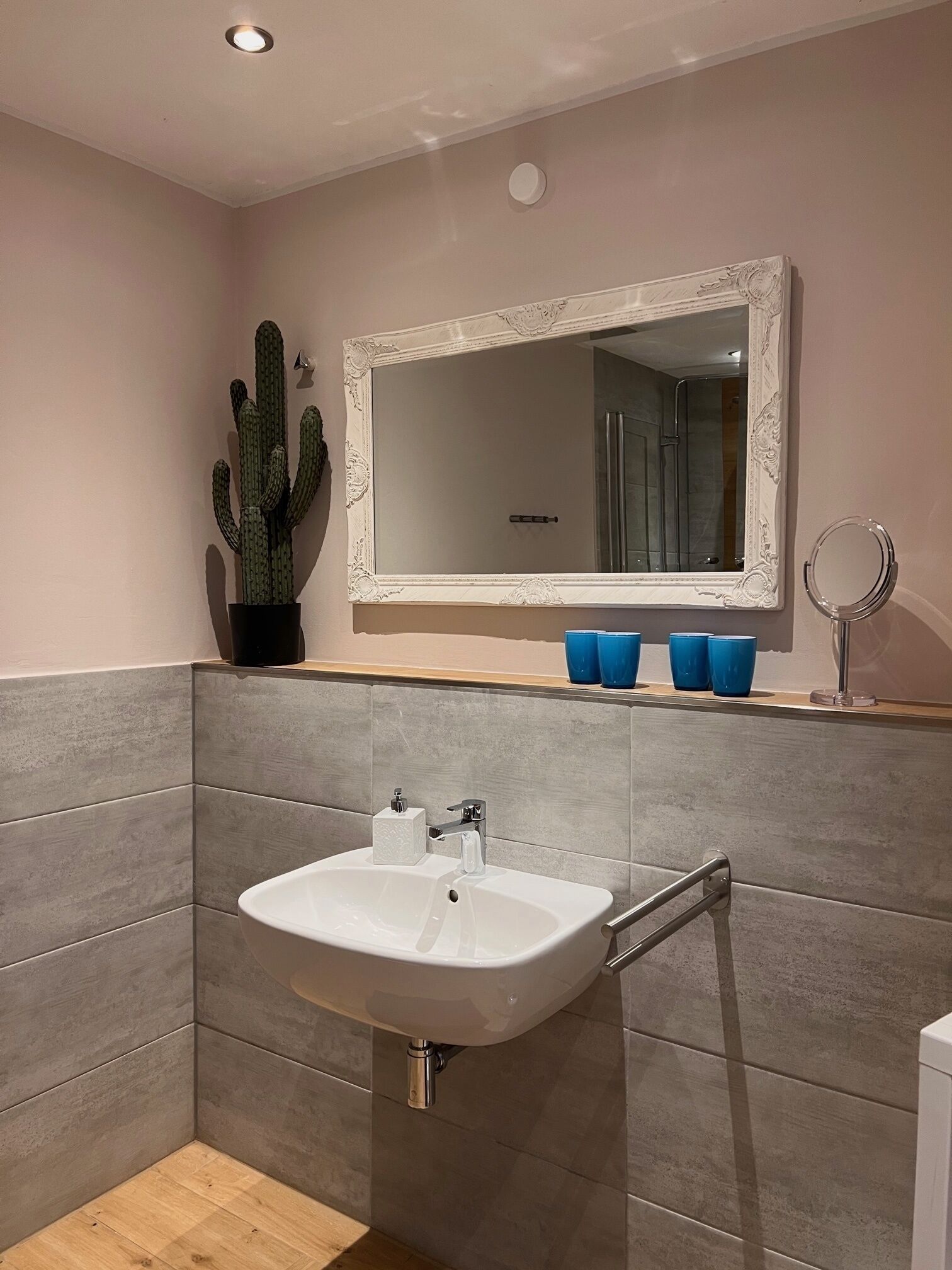 A bathroom with a white sink, a mirror, and a cactus plant.