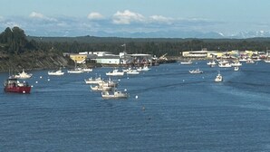 A harbor with multiple boats and a red ship.