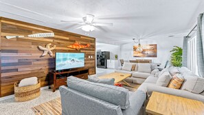 TV