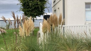 Ein angelegter Garten mit hohem Gras und einem Baum, einem weißen Zaun und einem Gebäude mit einem Fenster.