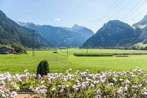A rural landscape with a green field, mountains in the background, and power lines.