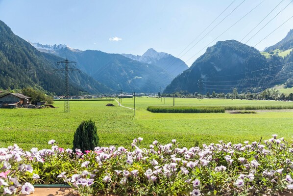 A rural landscape with a green field, mountains in the background, and power lines.