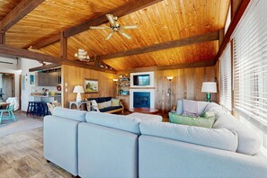 电视、壁炉、DVD 播放器、书