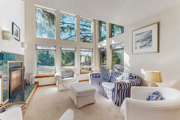 TV, DVD player, books, video library