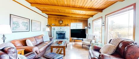 Televisión, chimenea y libros