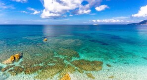 A clear view of a tropical beach with shallow waters revealing rocks and coral formations. - Casa Gioia (2) - Le Ghiaie - Casa Gioia 2 - Le Ghiaie (Portoferraio)