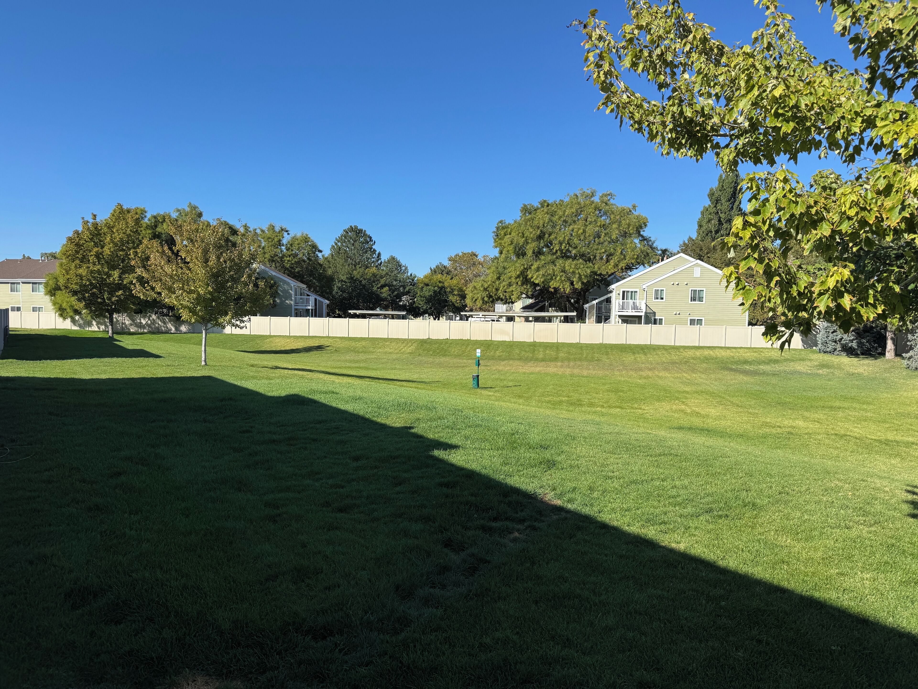 A well-maintained grassy yard with a white fence, a tree, and a house in the background.