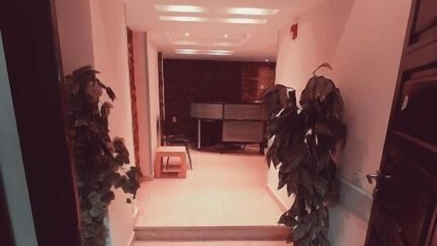 A hallway with a tiled floor leading to a room with a bed and a small table. There are two potted plants on either side of the hallway. - Blue Eyes Hotel (Giza)