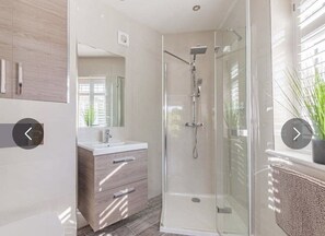 Shower, towels, toilet paper
