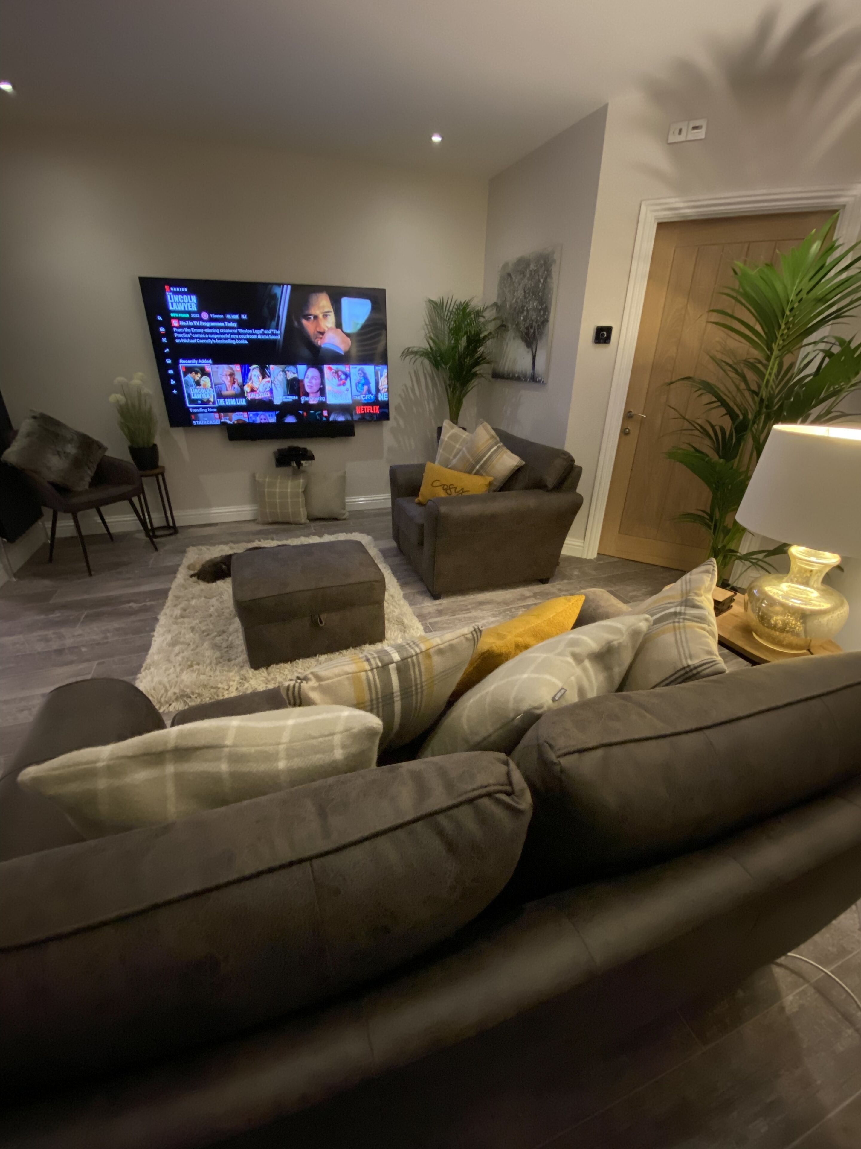 A modern living room with a large flat-screen TV, comfortable seating, and decorative plants.