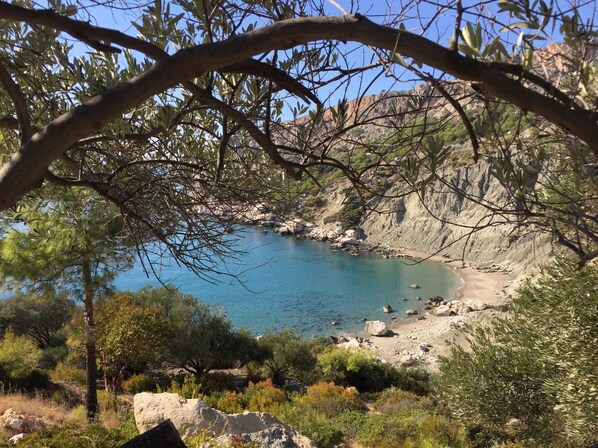 近隣のプライベートビーチ