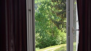 A view through a window with curtains, revealing a green landscape with trees and a path. - Character house in a romantic setting "At the water's'edge (CHAMBON SUR VOUEIZE)