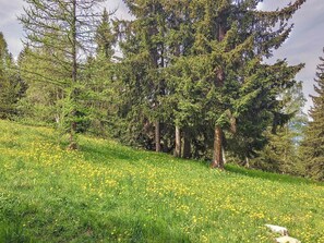 Terrain de l’hébergement 