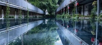 Mugen Town Residence