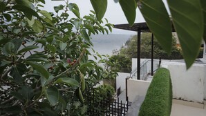 Une vue d’un jardin avec un plan d’eau en arrière-plan, un bâtiment blanc et une clôture noire.
