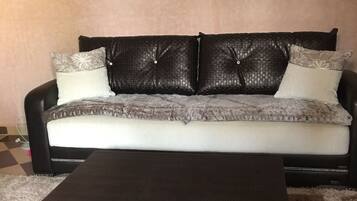 TV, fireplace, books