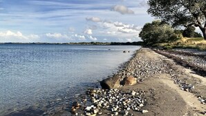 Una spiaggia con ciottoli e acqua limpida, una costa lontana e un albero sulla destra.