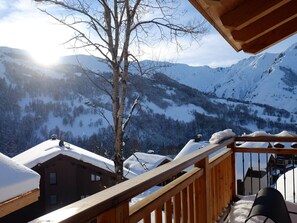 Property grounds - Chalet in Saint-Martin-de-Belleville: 3 bedrooms, jacuzzi, sauna, parking, wifi (Saint-Martin-de-Belleville)