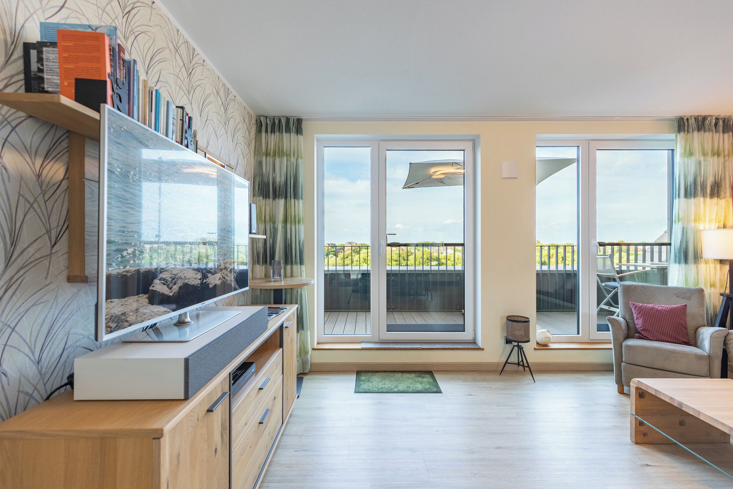 Televisión y libros 