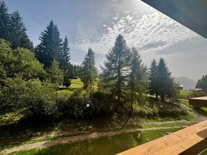 Une vue d’un paysage naturel avec des arbres et un sentier.