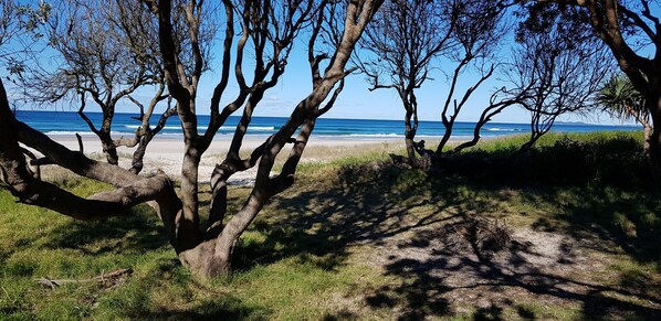 Vlak bij het strand