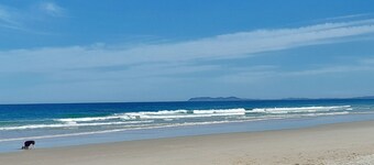 BIRDSONG: Cute Cabin in nature in Byron Bay Hinterland. 12mins to beach!