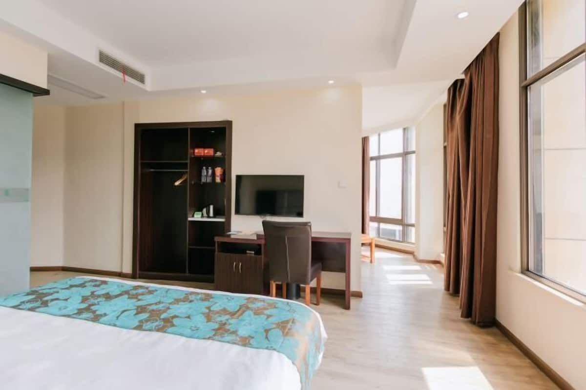 A hotel room with a bed, a desk, a television, a wardrobe, and large windows.