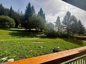 A grassy area with trees and a wooden deck.