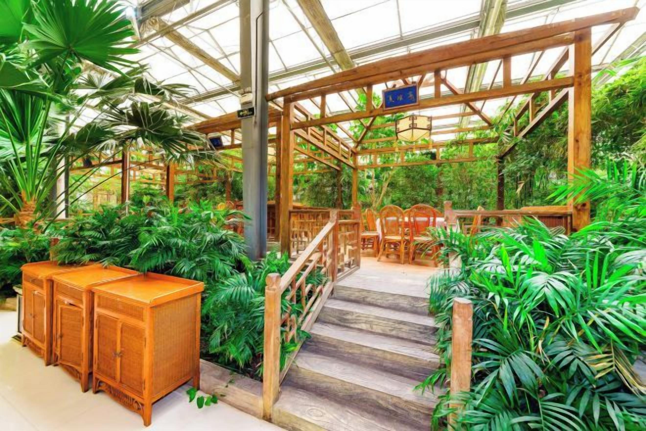 A greenhouse with wooden structures, stairs, and various plants.