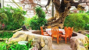 An indoor garden with a dining area featuring a table and chairs set on a stone platform, surrounded by lush greenery and a large tree trunk.