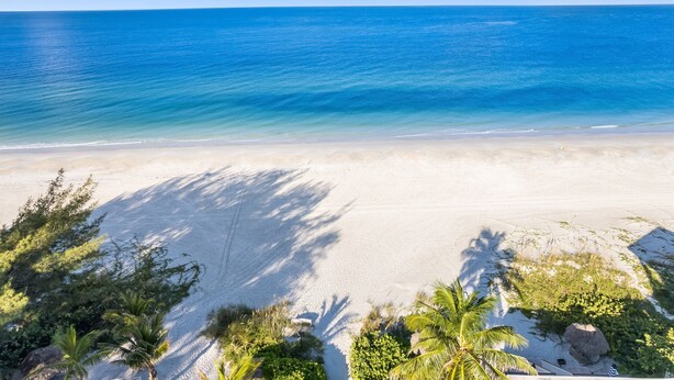 Une plage avec une eau d’un bleu limpide, un rivage sablonneux et quelques plantes.