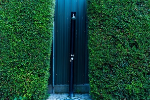 Una puerta con una cerradura y un picaporte, rodeada de frondosa vegetación.