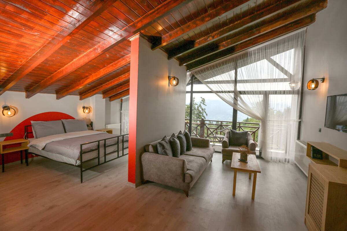 A bedroom with a bed, a sofa, a TV, and a balcony with a view.
