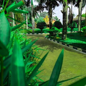 Pool Villa King | View from room