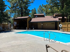 Outdoor pool - Restful Wildflower (Mammoth Lakes)