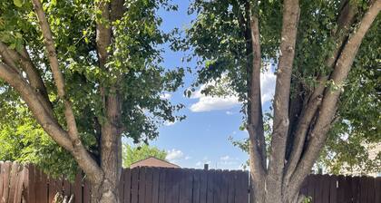 Ft. Sill-5 miles/Pet Welcome/11-Guests/4-BDR/5-QBED/2-FBA!