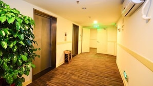 Un passadís d'hotel amb terres de fusta, una planta en test i una unitat de climatització a la paret.