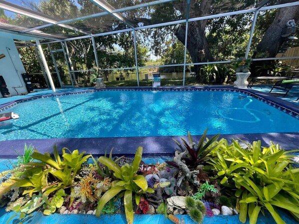 Outdoor pool, a heated pool