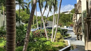 Un sendero bordeado de palmeras y una jardinera de hormigón, que conduce a un edificio con un diseño arquitectónico moderno.