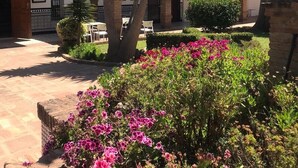 Un patio con un edificio blanco, arcos, palmeras y plantas con flores.