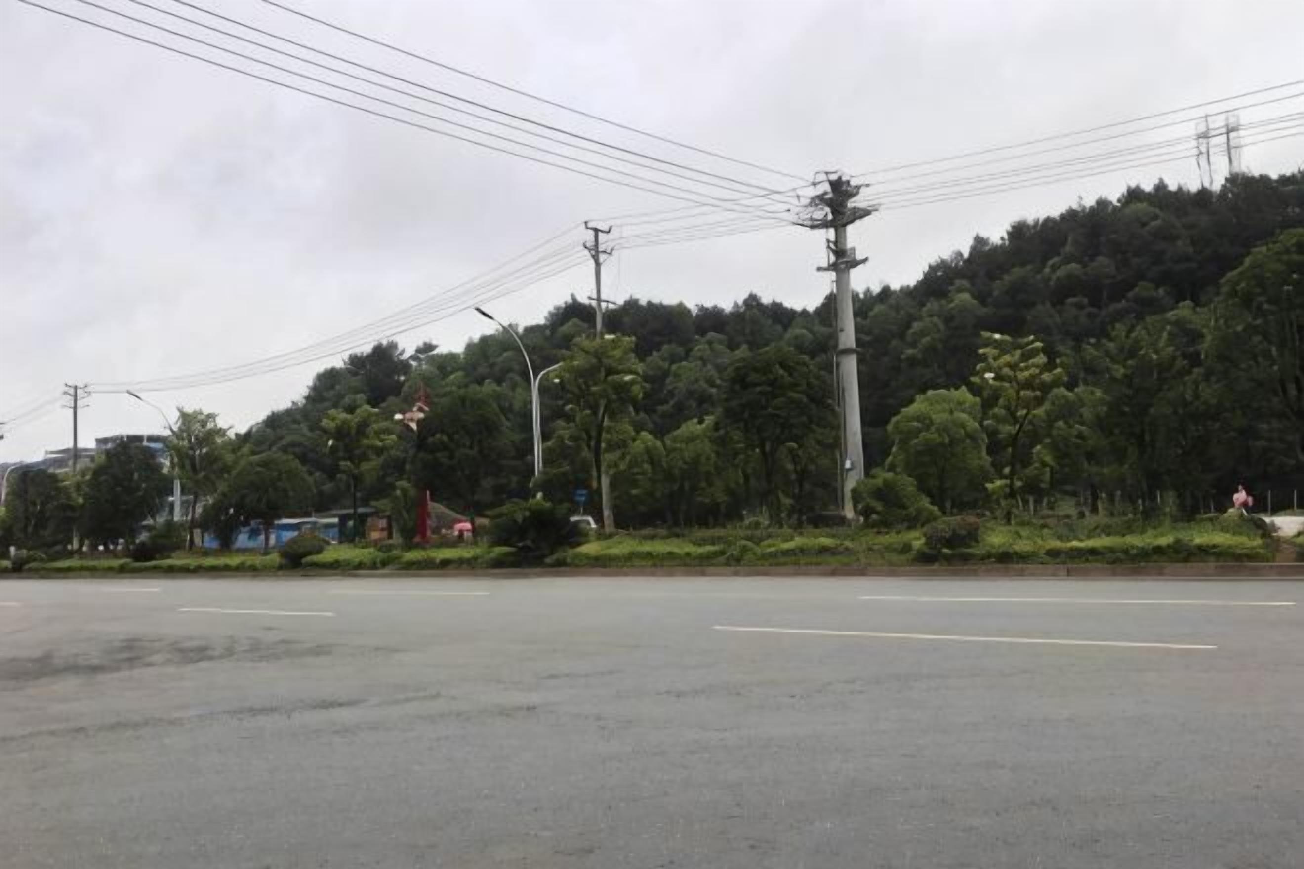 Una carretera con una ladera boscosa al fondo, postes de electricidad y cielo despejado.