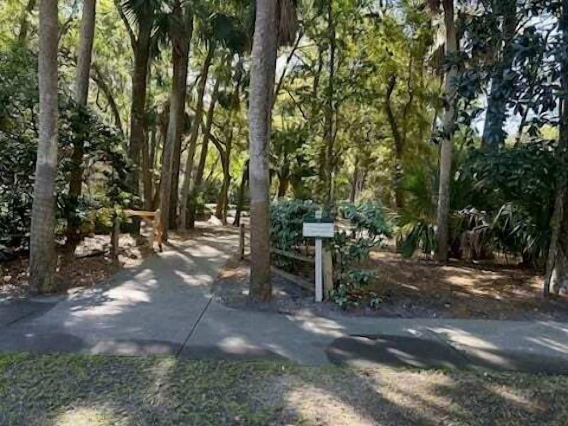 A pathway through a forested area with trees and a signpost.