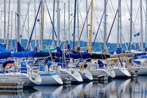 Boats docked in a serene marina with mooring points and secured with ropes.