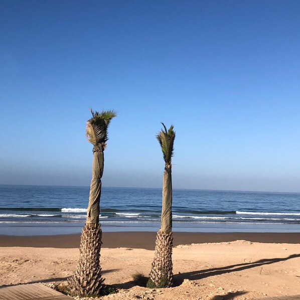 على الشاطئ