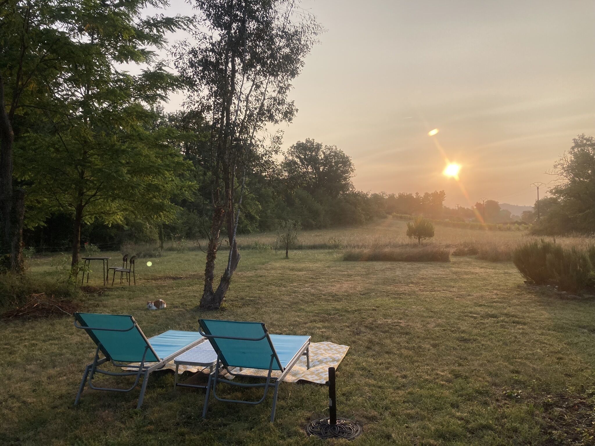 Garten