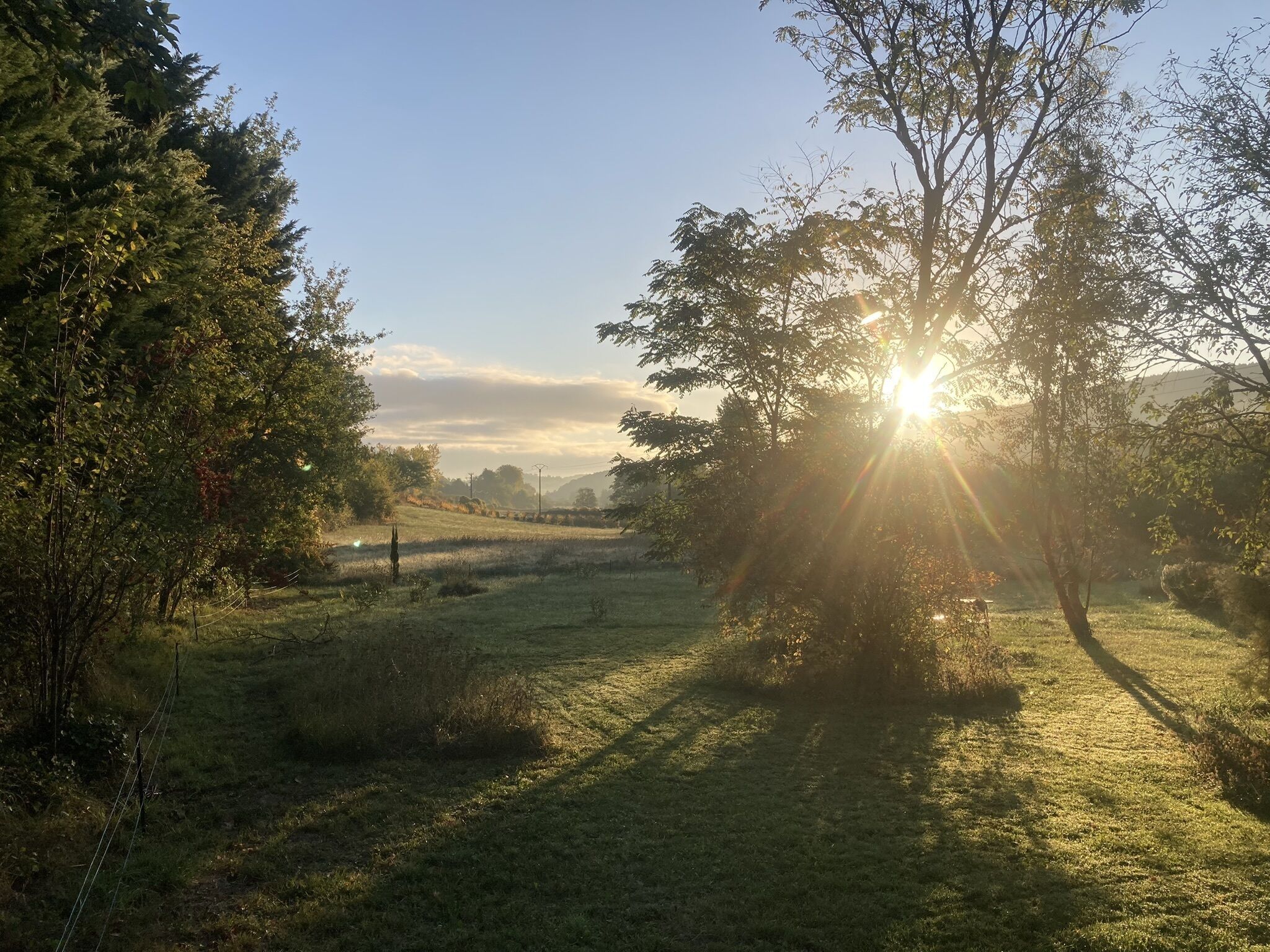 Un champ verdoyant, parsemé d’arbres, sous un ciel dégagé.