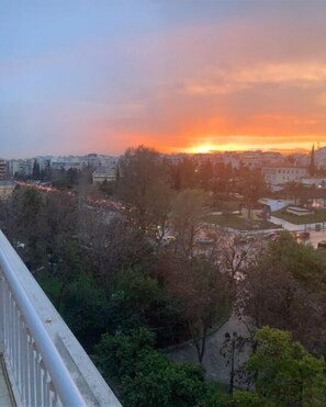 Property grounds - Athens/Hilton penthouse with spectacular view (Athina)