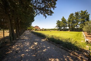 Property grounds - PRESTIGIOUS HOUSE "THE HOUSE OF VENTOUX (Courthezon)