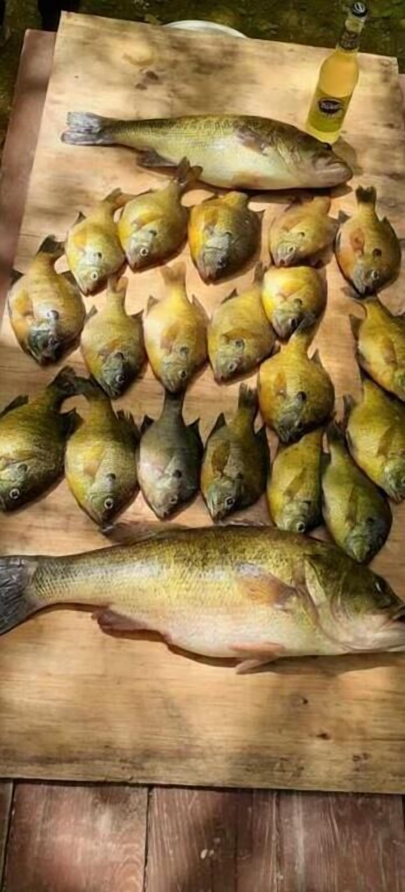 A wooden table with several fish and a bottle of alcohol.